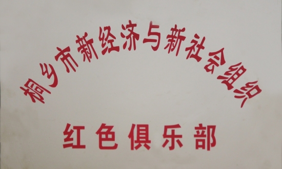 桐乡市新经济和新社会组织红色俱乐部